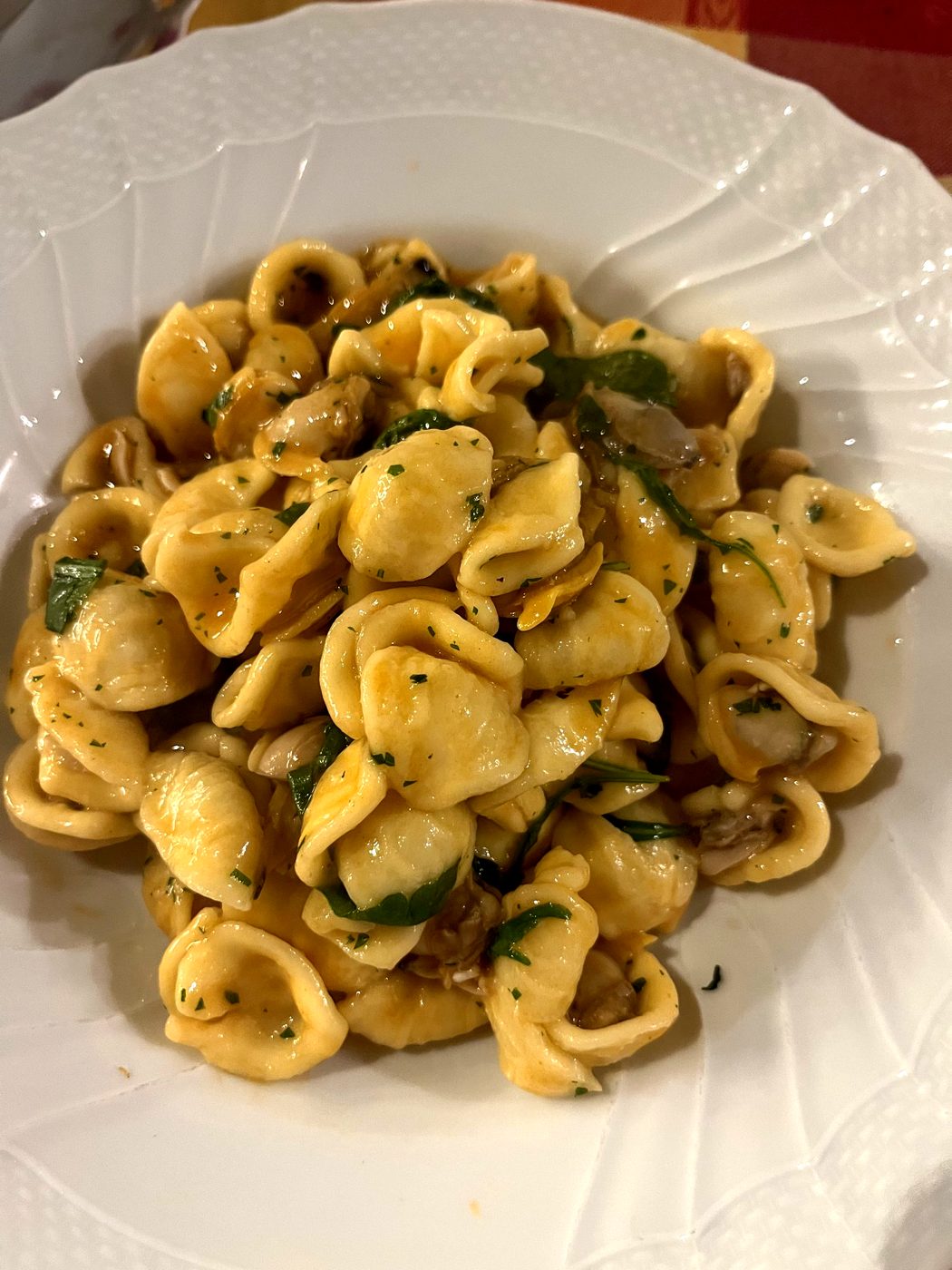 Orecchiette with fresh herbs