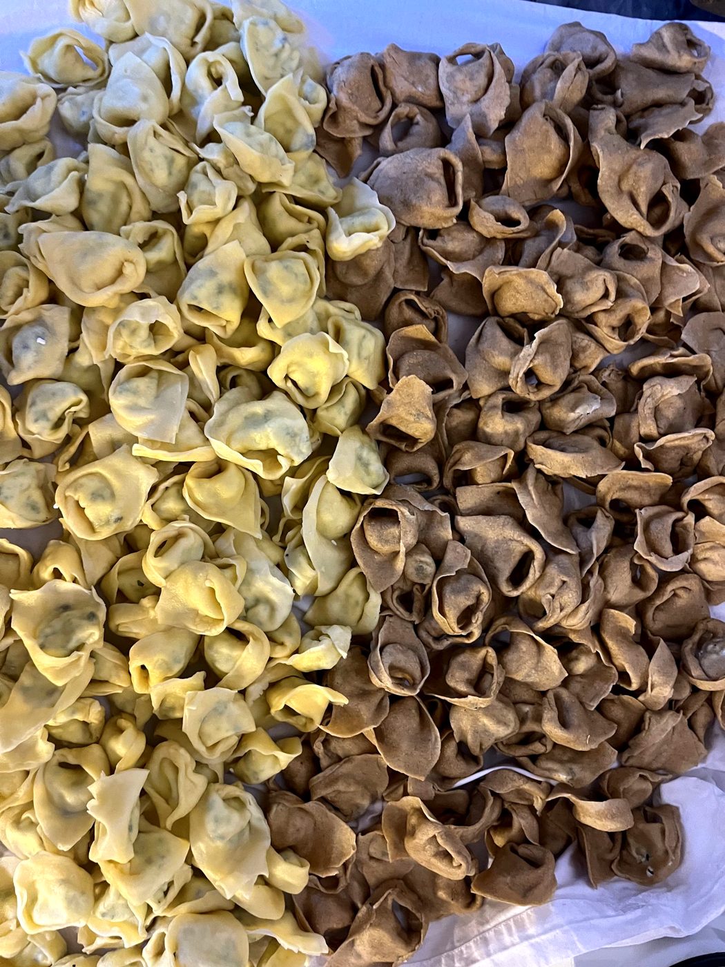Two kinds of handmade ravioli